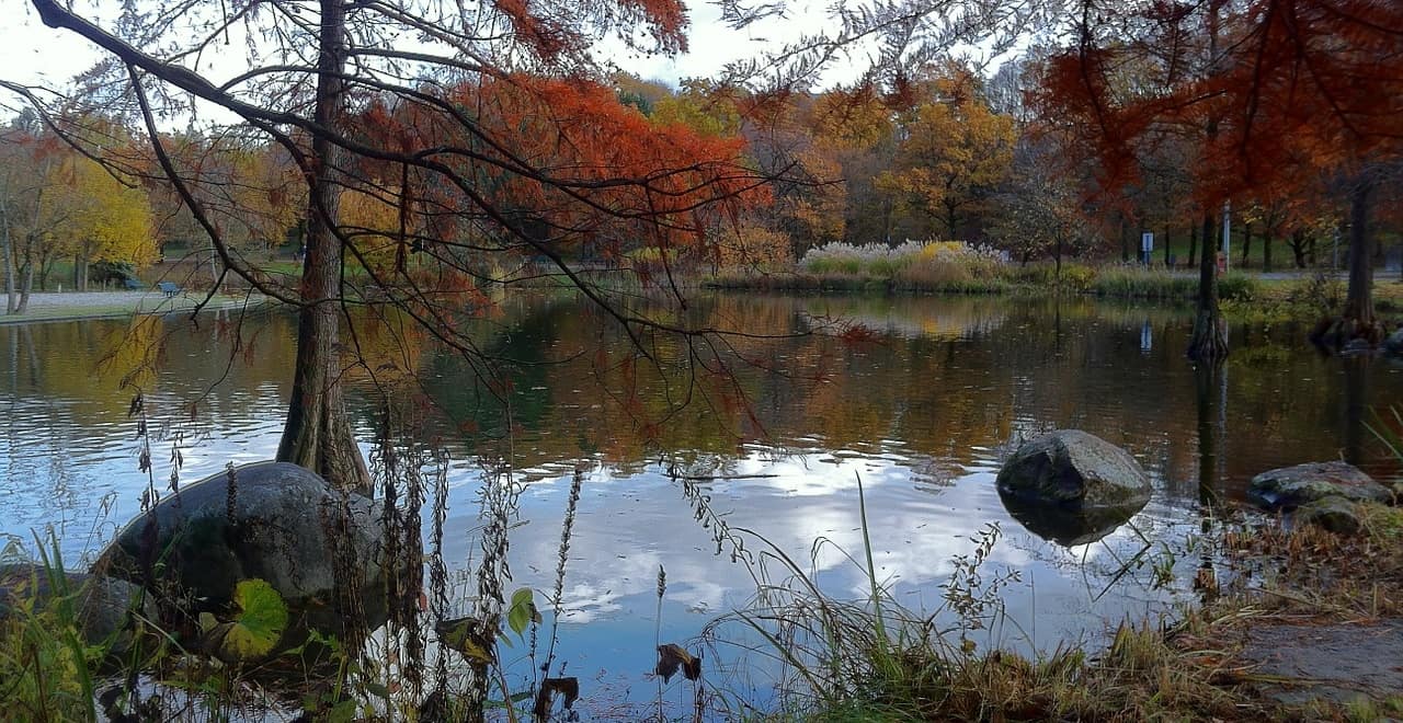München Westpark mit Teich im Herbst