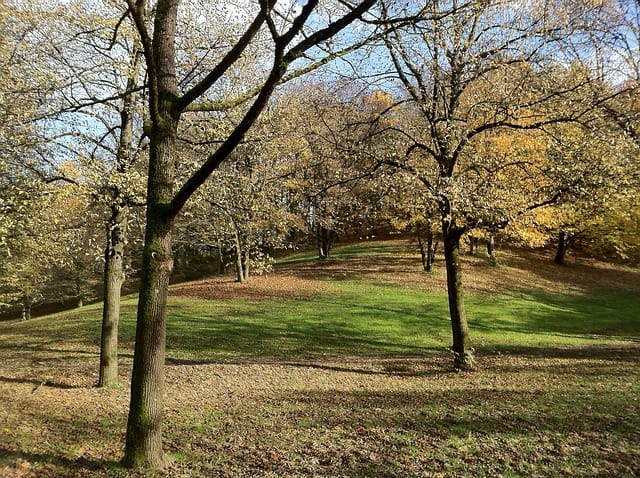 Westpark in autumn in Munich on a Sunday